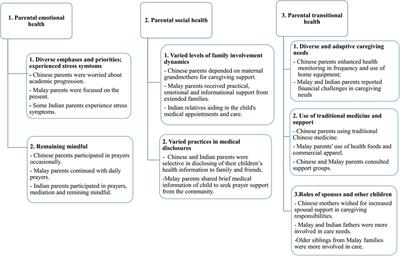 Ethnic differences in parental experiences during the first six months after PICU discharge in Singapore: a qualitative study